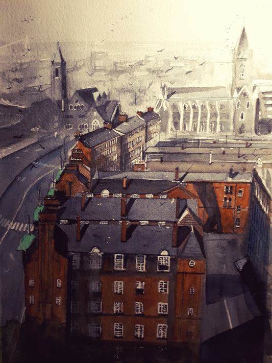 View from Cathedral, Dublin (Fine Art Print) Framed