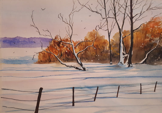 Tinahealy (SOLD)